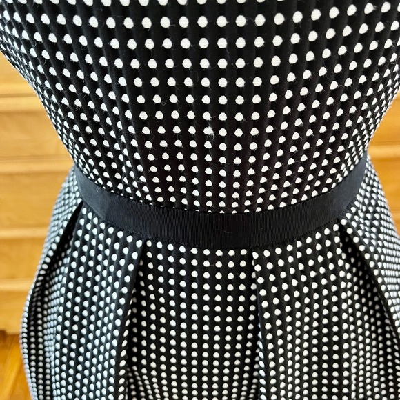 Erin Fetherston Size 4 Polka Dot Black and White Fit Flare Dress Sleeveless - Picture 2 of 16